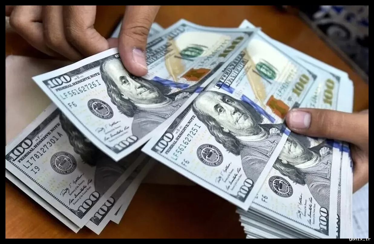 حذف ارز ۲۸۵۰۰ تومانی؛ پایان مافیای واردات و گامی به سوی شفافیت اقتصادی
